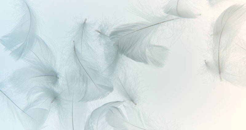 Improve Your Mindset Inspiration