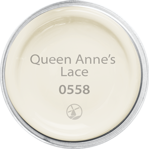 Queen Annes Lace